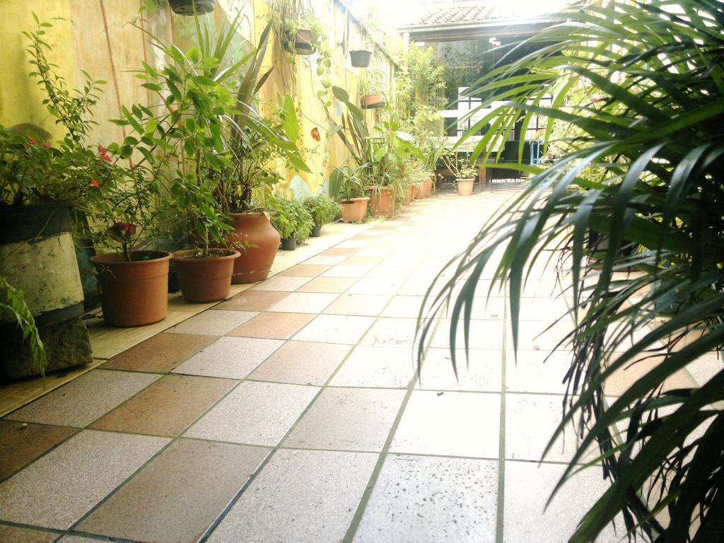 Pousada Flor Amarela Balneário Camboriú Esterno foto